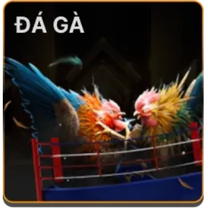 Đá gà uuu88